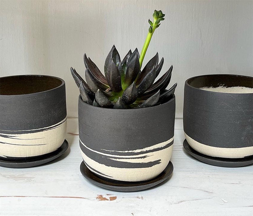 Collection of Cups and Planters inspired by the abstract beauty of nature.